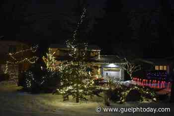 Fergus gets lit up with Christmas spirit (15 photos) - GuelphToday