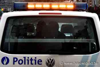 Vechtersbaas raakt slaags met agenten, drie inspecteurs zijn week werkonbekwaam - nieuwsblad.be