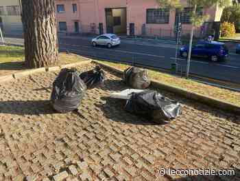 Pescate, sacchi di rifiuti abbandonati: 800 euro di multa al proprietario - Lecco Notizie