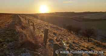 Hull set for dramatic temperature drop after balmy New Year high - Hull Live