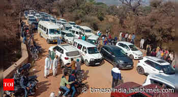 Rajasthan: Pilgrims choke forest road with 1,000 vehicles in Sariska Tiger Reserve - Times of India