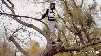 Go climb a tree: Forest School teaches kids how to safely engage in 'risky' play - CBC.ca