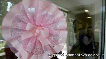 Un raggio di sole all’alba: a Mantova la più veloce è Soleil - La Gazzetta di Mantova