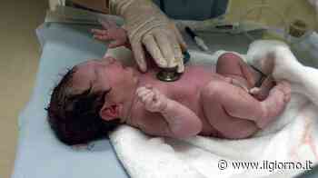 Alba Irene è la prima nata dell'anno, venuta alla luce sette secondi dopo la mezzanotte - IL GIORNO