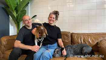 New residents breathe life into isolated town on Tasmania's wild West Coast