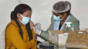 Hope floats after a year scarred by the coronavirus - Mint