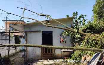 Coatepec también sufre afectaciones por norte - Diario de Xalapa