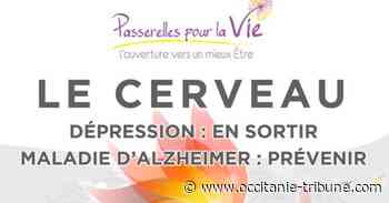 Haute-Garonne - LABEGE ( 31 ) « Dépression : En sortir - Maladie d’Alzheimer : Prévenir »les 10 et 11 novembre 2018 - occitanie-tribune.com