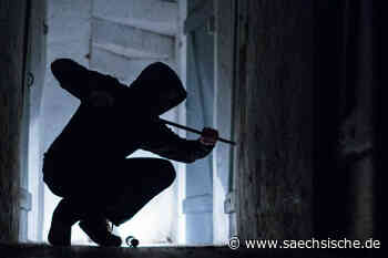 Einbrecher in Dresden nach Zeugenhinweis gestellt - Sächsische.de