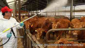 Government works to prevent future viruses - Gloucester Advocate