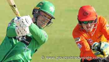Stars opener Rogers impresses in BBL debut - Gloucester Advocate