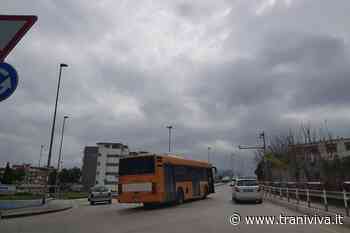 Verifica di vulnerabilità sismica per il ponte di via Istria - TraniViva