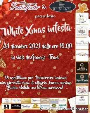 Trani, verso il Natale a Pozzo piano: vigilia di festa in via De Gemmis - ilgiornaleditrani - Radio Bombo