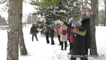 Birders take part in annual Christmas bird count