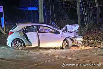 Auto smakt tegen boom: twee inzittenden gewond (Puurs-Sint-Amands) - Het Nieuwsblad