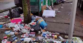 The shocking haul of waste dumped next to recycle bins in Grimsby - Grimsby Live