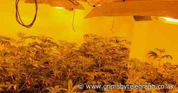 Live updates as police find cannabis factory at Scunthorpe property - Grimsby Live