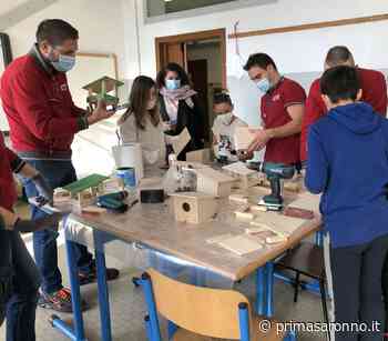 A scuola si costruiscono nidi e mangiatoie per uccellini - Prima Saronno