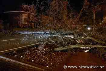 Onweer veroorzaakt ernstige schade: Brusselse tunnels onder water, beek buiten oevers in Ninove, daken vernield in Kinrooi