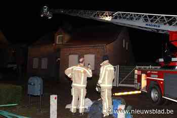 Brandweer Maaseik hele nacht in de weer na “kleine tornado”: zeker 15 daken vernield