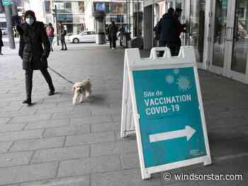 Quebec backtracks, plans to allow dog-walking after curfew - Windsor Star