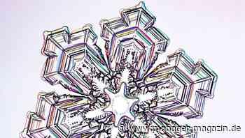 Trendforschung: Wie Sie in winzigen Abweichungen Trends entdecken