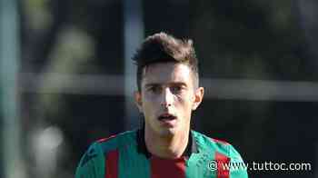 NOTIZIA TC - Grosseto, piace il centrocampista del Modena Luca Castiglia - Tutto Lega Pro