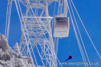 Passengers stranded overnight in New Mexico cable cars rescued - Ealing Times