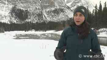 Creek in Banff that was reduced to a trickle by Minnewanka dam almost restored