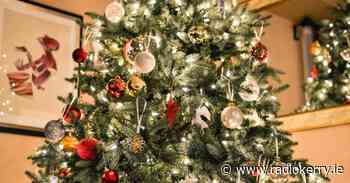 Council providing free tree mulching in Killarney - Radio Kerry