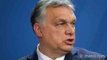 Trump endorses autocratic Hungarian leader