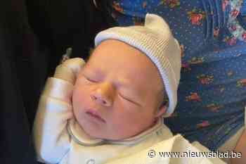 Ward is het kleine broertje van Miel (Menen) - Het Nieuwsblad