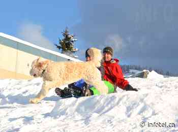'Warming' trend still leaves Okanagan, Kamloops in cold, well into January | iNFOnews | Thompson-Okanagan's News Source - iNFOnews