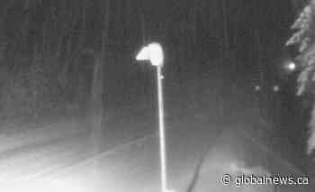 Heavy snow forecast Monday for southern Interior mountain passes