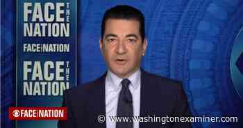'This is an airborne illness': Dr. Scott Gottlieb says cloth masks don't provide a lot of protection against COVID-19 - Washington Examiner