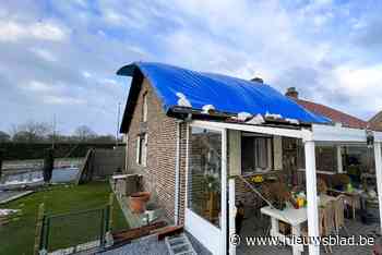 Warm weer veroorzaakte valwind in Kinrooi en Maaseik: “Zeer atypisch voor de winter”