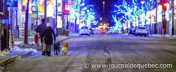 Finalement possible de promener son chien après 22h