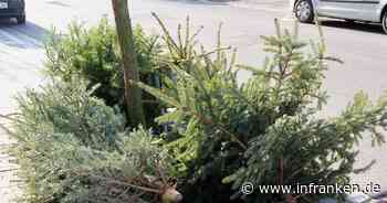 Bamberg: Weihnachtsbäume werden ab 10. Januar 2021 abgeholt - alle Termine für alle Bezirke