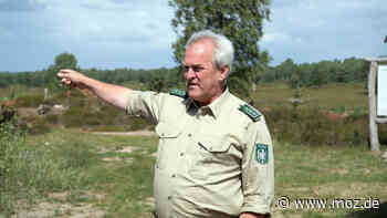 Sicherheit in der Kyritz-Ruppiner Heide: Hunderte Bomben und Munitionsstücke zwischen Neuruppin und Wittstock gefunden - moz.de