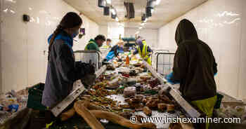 In Pictures: An energy solution that cuts food waste - Irish Examiner
