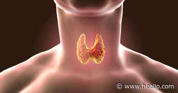 Top 2021 thyroid news: Food and thyroid function, molecular testing for cancer and more - Healio