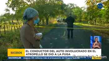 Investigan muerte de un hombre en Los Santos - TVN Panamá