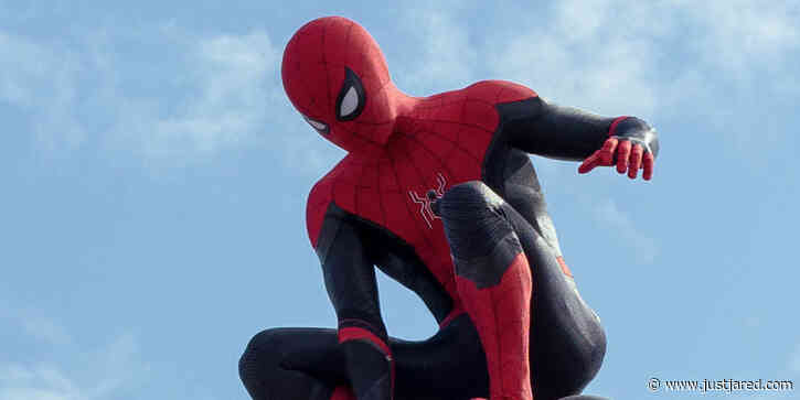'Spider-Man: No Way Home' Swings Into All-Time Top 10 at Domestic Box Office