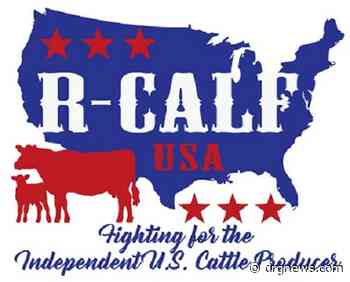 Agriculture groups skeptical, but hopeful about White House plan to make meat markets more competitive - Drgnews
