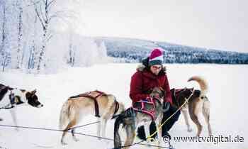 Outdoor für Fortgeschrittene: Quer durch Lappland mit dem Hundeschlitten - TV Digital