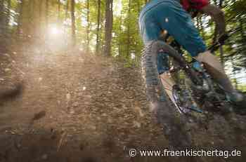 Mountainbiken am Geisberg und Schlittschuhbahn: Jugendparlament von Strullendorf formuliert erste Ziele - Fraenkischer Tag