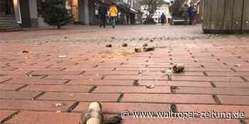 Jahreswechsel: Weniger Böller-Müll als sonst in Waltrop - Waltroper Zeitung