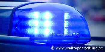 Diebe hatten es in Waltrop auf ein E-Bike abgesehen – und nicht nur darauf - Waltroper Zeitung