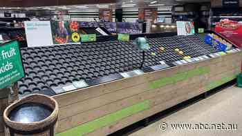 Bare supermarket shelves in NSW as COVID causes more shortages