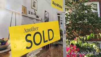 Australian property prices surged 22pc last year, its biggest jump since the 1980s